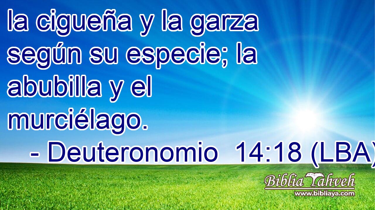 la cigueña y la garza según su especie; la abubilla y el murciélago.