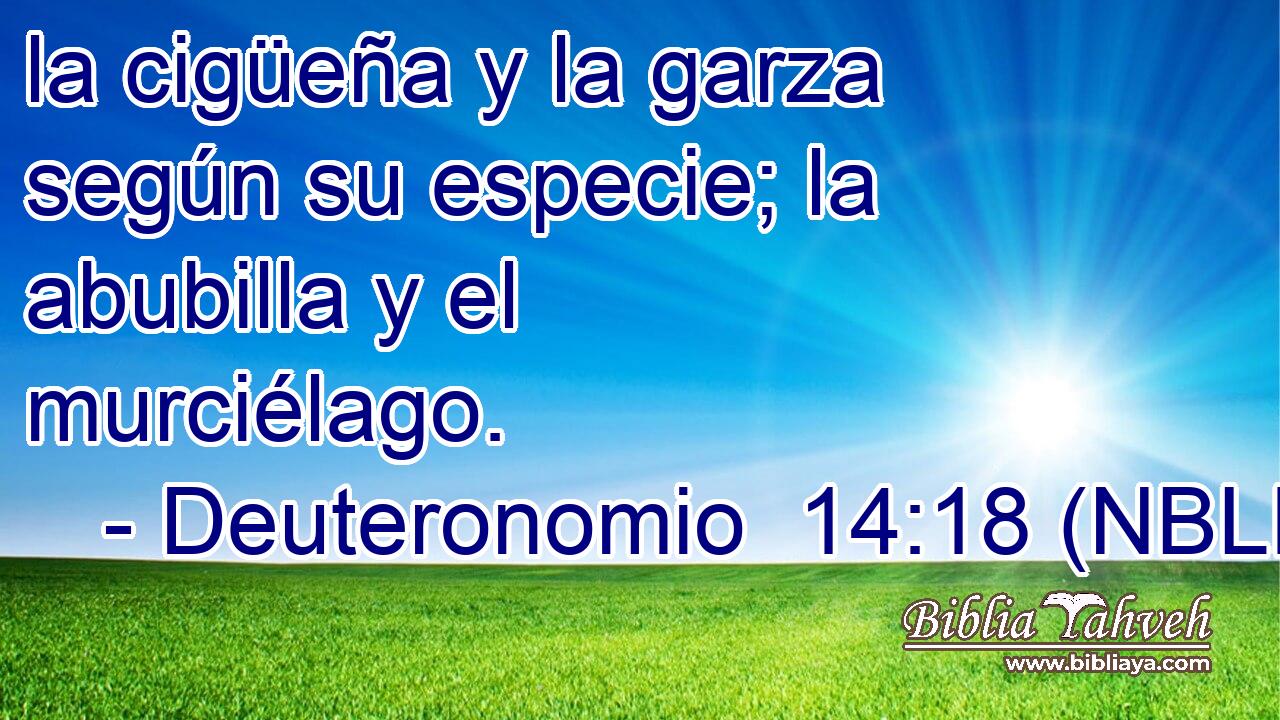  la cigüeña y la garza según su especie; la abubilla y el murciélago. 