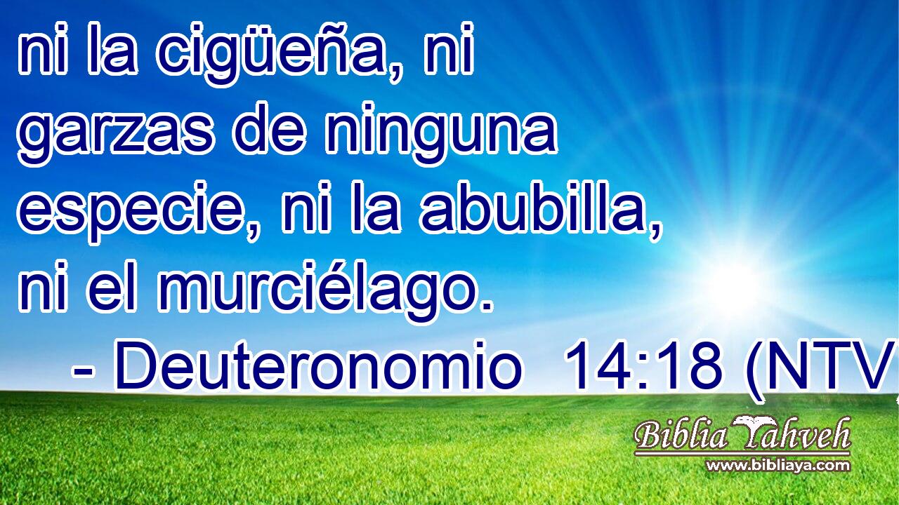 ni la cigüeña, ni garzas de ninguna especie, ni la abubilla, ni el murciélago.