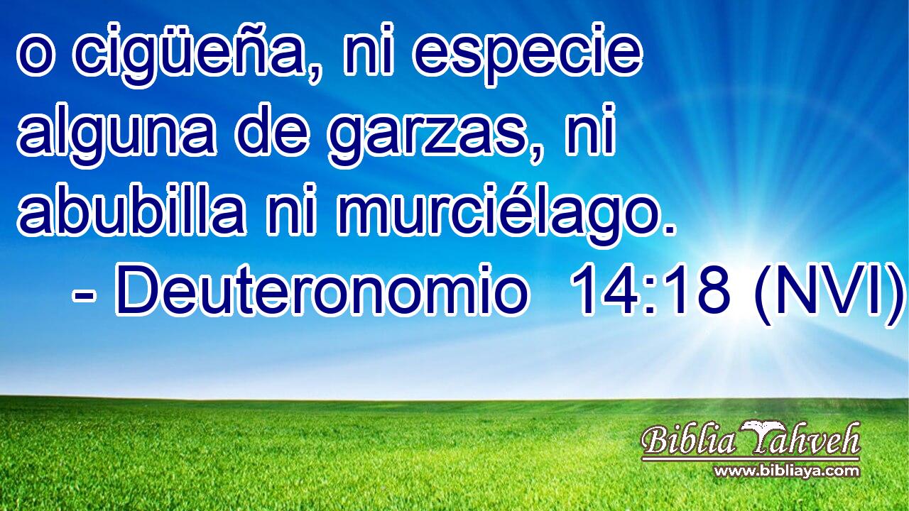 o cigüeña, ni especie alguna de garzas, ni abubilla ni murciélago. 