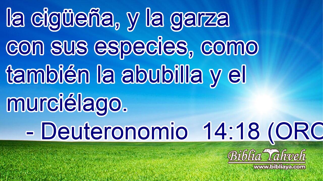  la cigüeña, y la garza con sus especies, como también la abubilla y el murciélago. 