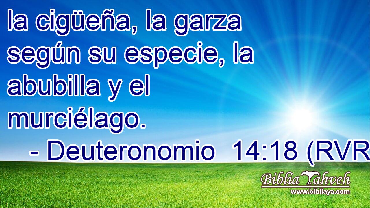 la cigüeña, la garza según su especie, la abubilla y el murciélago.