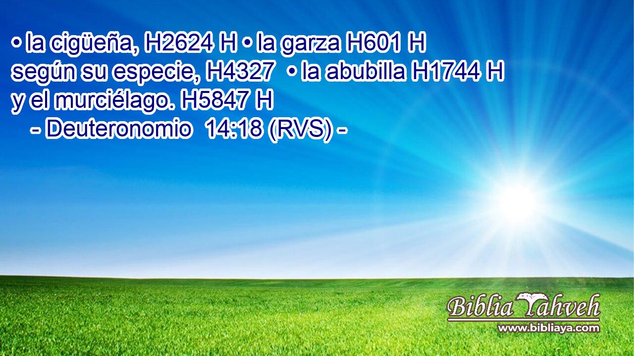 • la cigüeña, H2624 H • la garza H601 H según su especie, H4327  • la abubilla H1744 H y el murciélago. H5847 H 