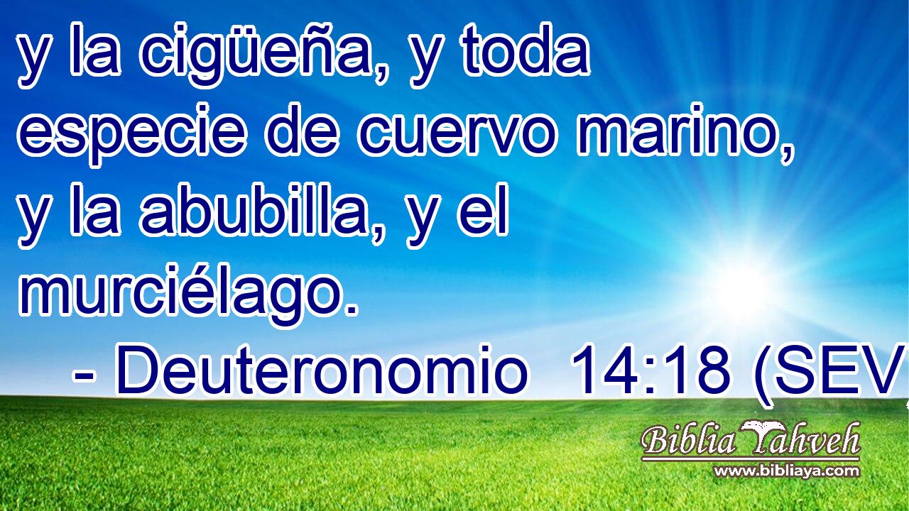 y la cigüeña, y toda especie de cuervo marino, y la abubilla, y el murciélago.