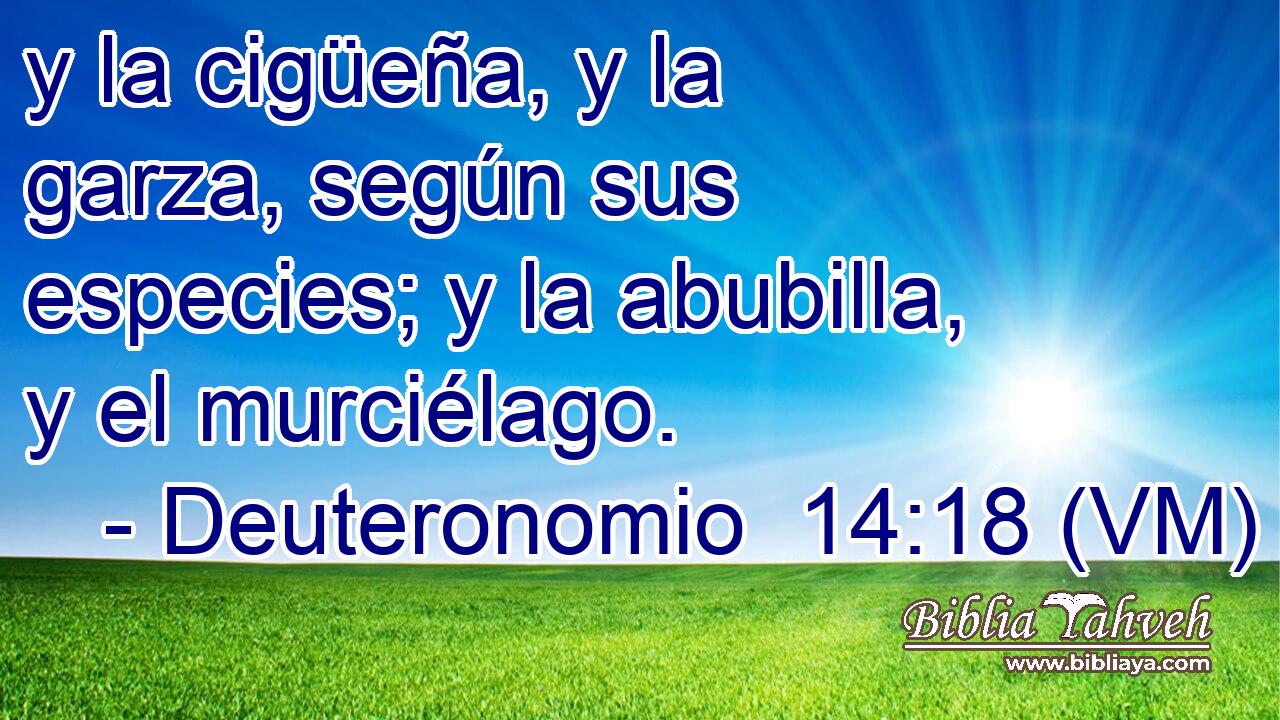  y la cigüeña, y la garza, según sus especies; y la abubilla, y el murciélago. 