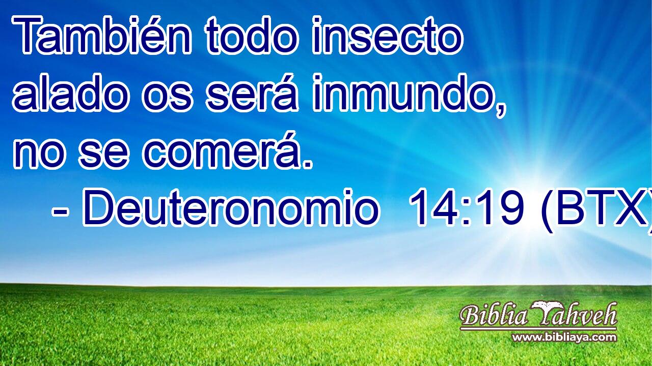 También todo insecto alado os será inmundo, no se comerá.
