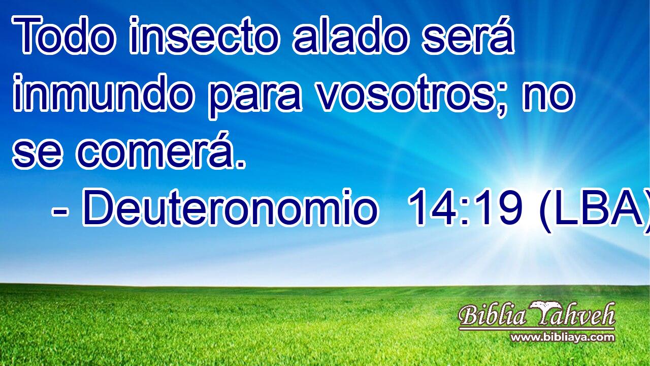Todo insecto alado será inmundo para vosotros; no se comerá.