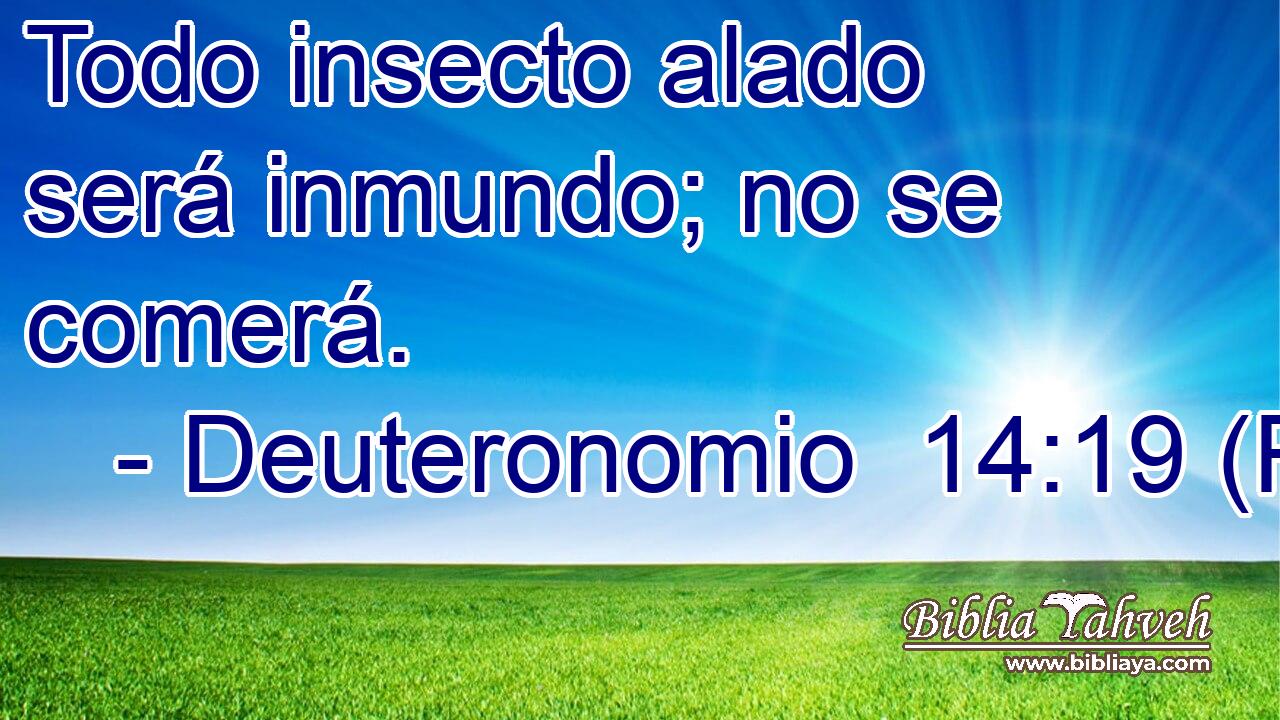 Todo insecto alado será inmundo; no se comerá.