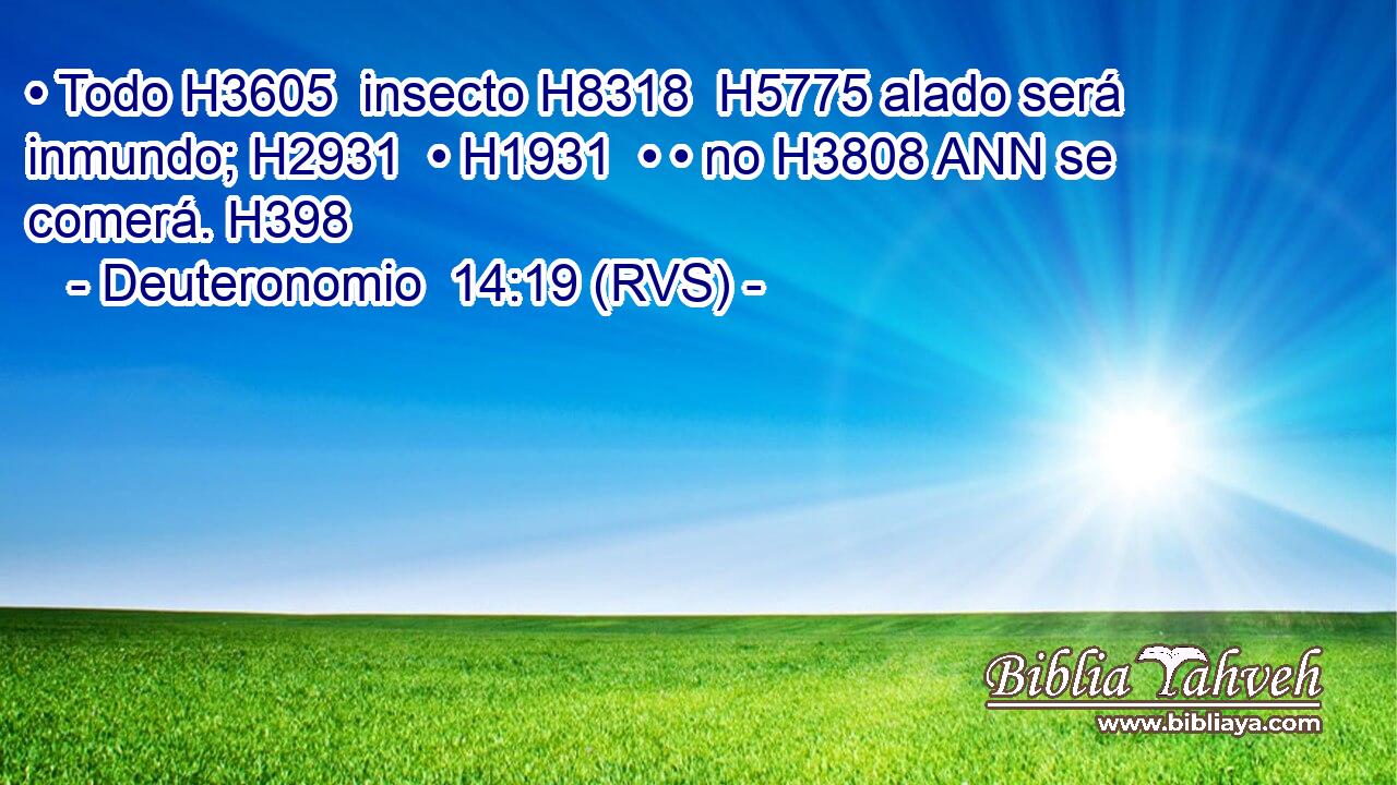 • Todo H3605  insecto H8318  H5775 alado será inmundo; H2931  • H1931  • • no H3808 ANN se comerá. H398  