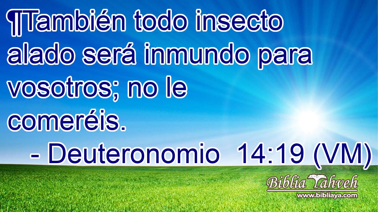  ¶También todo insecto alado será inmundo para vosotros; no le comeréis. 