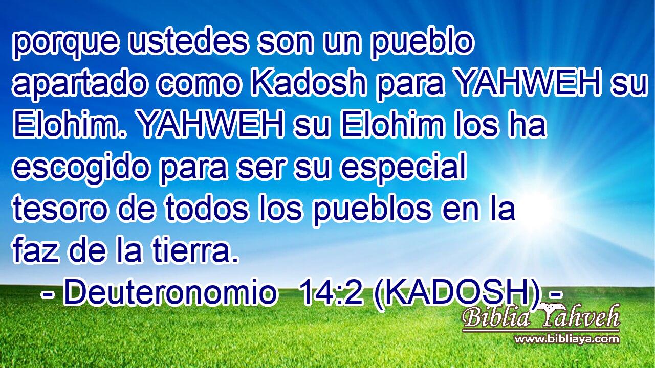  porque ustedes son un pueblo apartado como Kadosh para YAHWEH su Elohim. YAHWEH su Elohim los ha escogido para ser su especial tesoro de todos los pueblos en la faz de la tierra. 