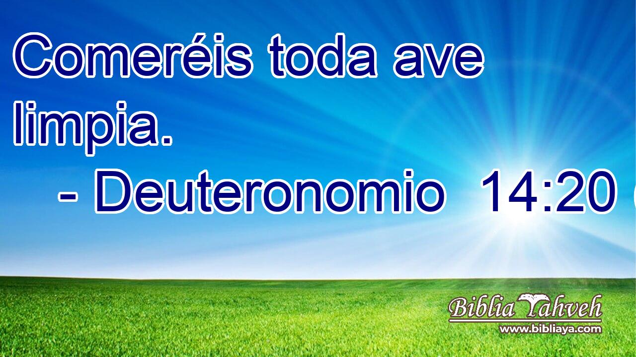 Comeréis toda ave limpia.