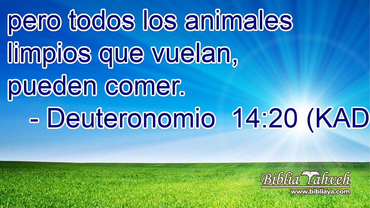  pero todos los animales limpios que vuelan, pueden comer. 
