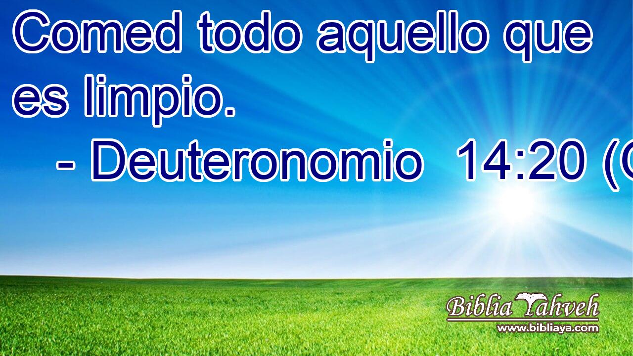  Comed todo aquello que es limpio. 