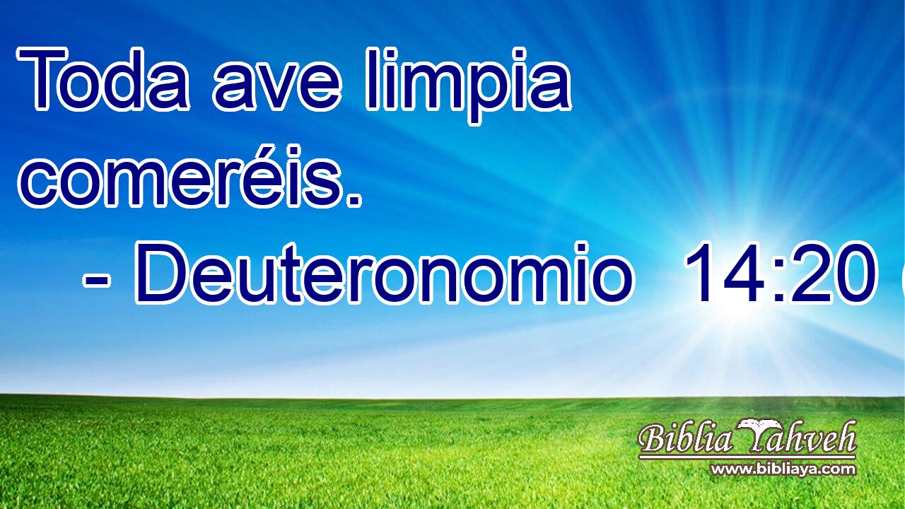 Toda ave limpia comeréis.