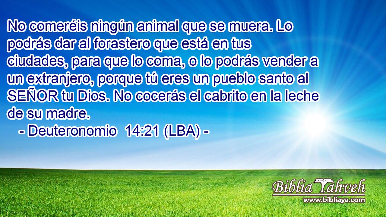 No comeréis ningún animal que se muera. Lo podrás dar al forastero que está en tus ciudades, para que lo coma, o lo podrás vender a un extranjero, porque tú eres un pueblo santo al SEÑOR tu Dios. No cocerás el cabrito en la leche de su madre.