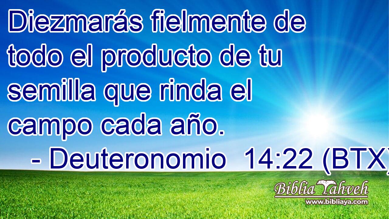 Diezmarás fielmente de todo el producto de tu semilla que rinda el campo cada año.