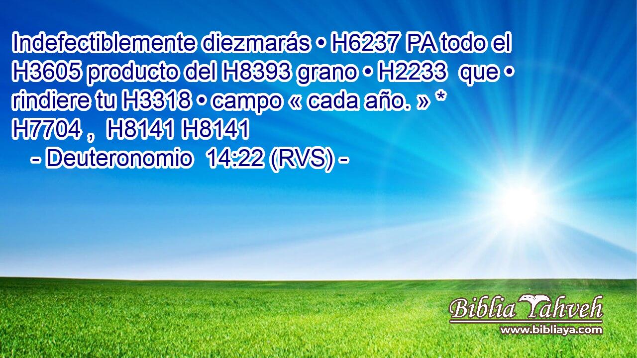 Indefectiblemente diezmarás • H6237 PA todo el H3605 producto del H8393 grano • H2233  que • rindiere tu H3318 • campo « cada año. » * H7704 ,  H8141 H8141 