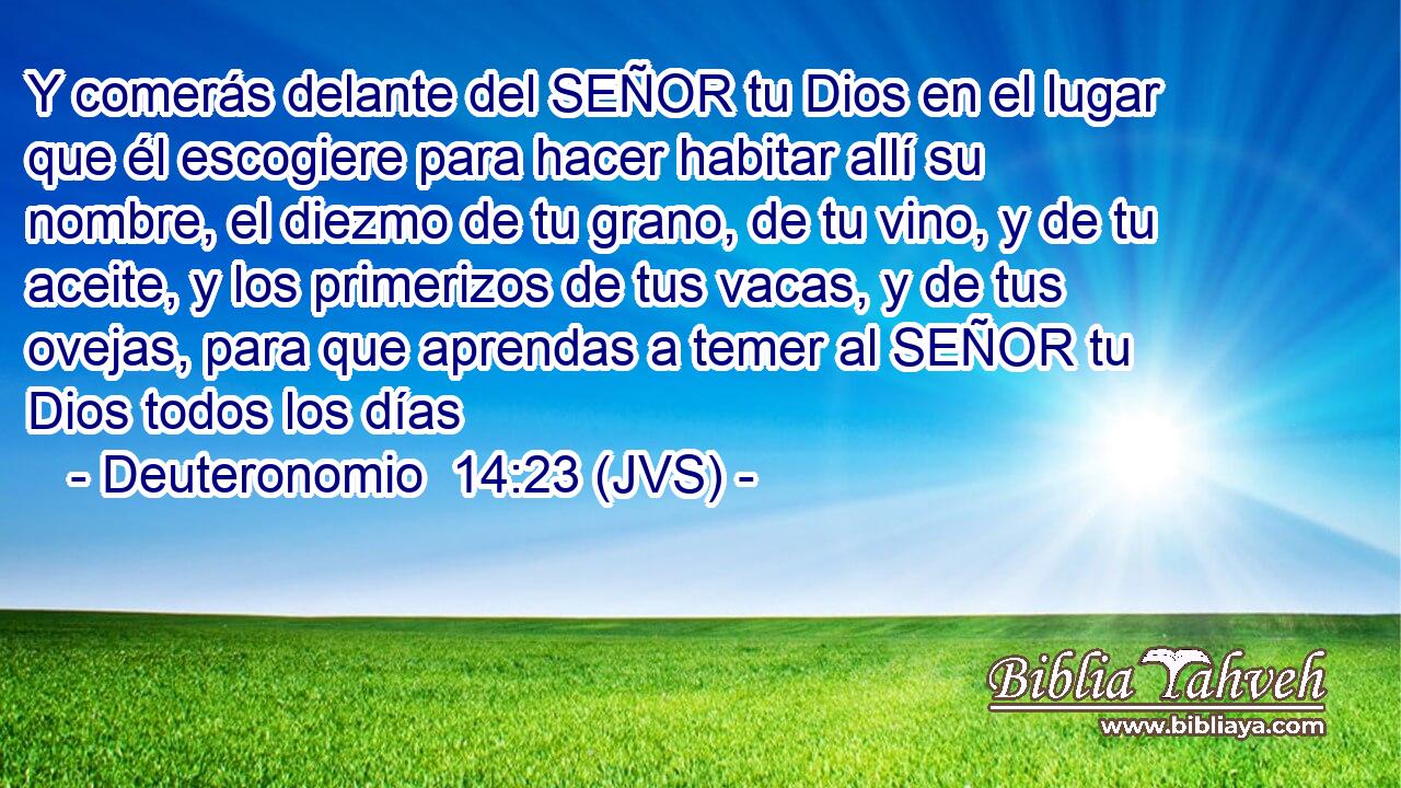 Y comerás delante del SEÑOR tu Dios en el lugar que él escogiere para hacer habitar allí su nombre, el diezmo de tu grano, de tu vino, y de tu aceite, y los primerizos de tus vacas, y de tus ovejas, para que aprendas a temer al SEÑOR tu Dios todos los días