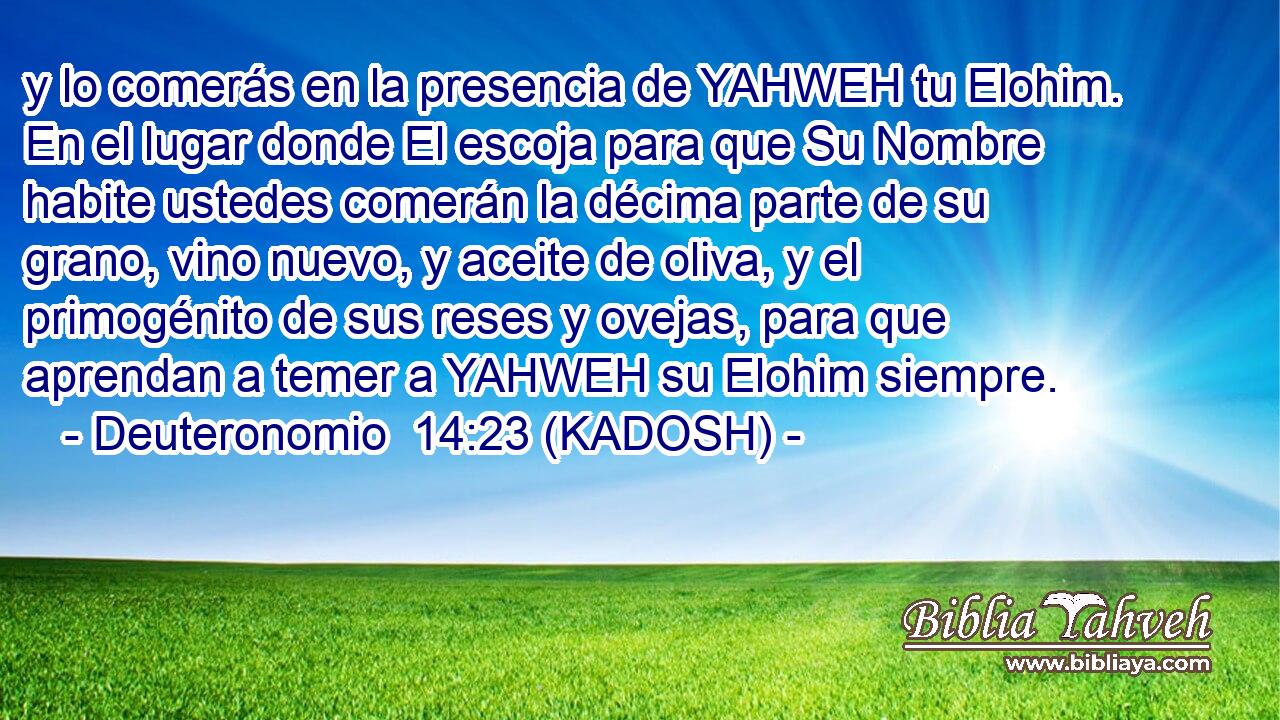  y lo comerás en la presencia de YAHWEH tu Elohim. En el lugar donde El escoja para que Su Nombre habite ustedes comerán la décima parte de su grano, vino nuevo, y aceite de oliva, y el primogénito de sus reses y ovejas, para que aprendan a temer a YAHWEH su Elohim siempre. 
