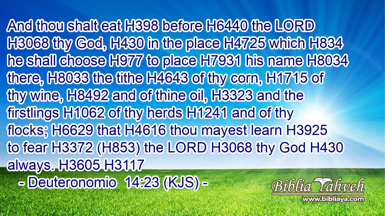 And thou shalt eat H398 before H6440 the LORD H3068 thy God, H430 in the place H4725 which H834 he shall choose H977 to place H7931 his name H8034 there, H8033 the tithe H4643 of thy corn, H1715 of thy wine, H8492 and of thine oil, H3323 and the firstlings H1062 of thy herds H1241 and of thy flocks; H6629 that H4616 thou mayest learn H3925 to fear H3372 (H853) the LORD H3068 thy God H430 always. H3605 H3117