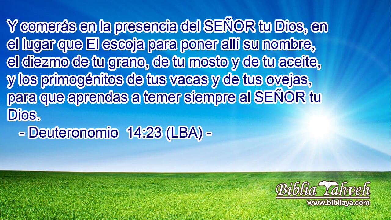 Y comerás en la presencia del SEÑOR tu Dios, en el lugar que El escoja para poner allí su nombre, el diezmo de tu grano, de tu mosto y de tu aceite, y los primogénitos de tus vacas y de tus ovejas, para que aprendas a temer siempre al SEÑOR tu Dios.