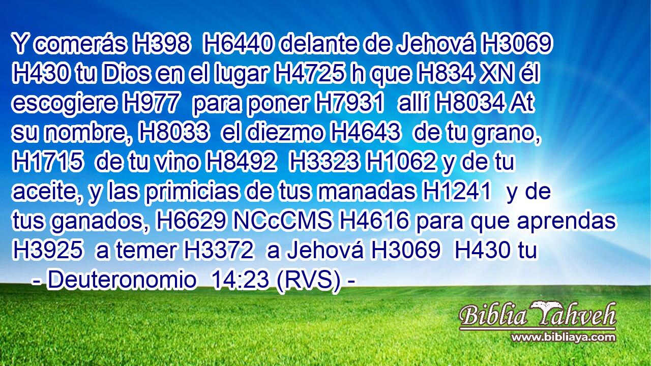 Y comerás H398  H6440 delante de Jehová H3069  H430 tu Dios en el lugar H4725 h que H834 XN él escogiere H977  para poner H7931  allí H8034 At su nombre, H8033  el diezmo H4643  de tu grano, H1715  de tu vino H8492  H3323 H1062 y de tu aceite, y las primicias de tus manadas H1241  y de tus ganados, H6629 NCcCMS H4616 para que aprendas H3925  a temer H3372  a Jehová H3069  H430 tu