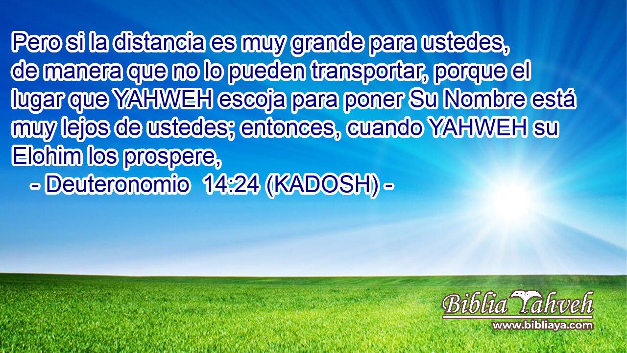  Pero si la distancia es muy grande para ustedes, de manera que no lo pueden transportar, porque el lugar que YAHWEH escoja para poner Su Nombre está muy lejos de ustedes; entonces, cuando YAHWEH su Elohim los prospere, 
