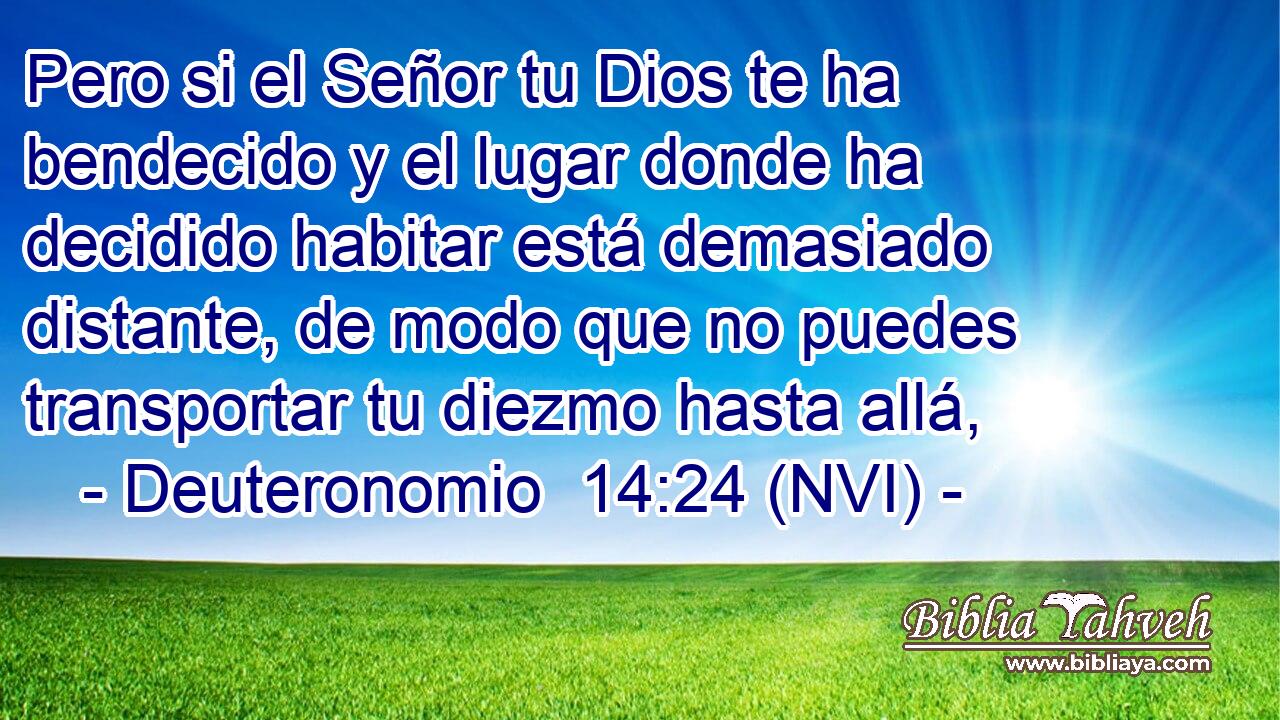  Pero si el Señor tu Dios te ha bendecido y el lugar donde ha decidido habitar está demasiado distante, de modo que no puedes transportar tu diezmo hasta allá, 