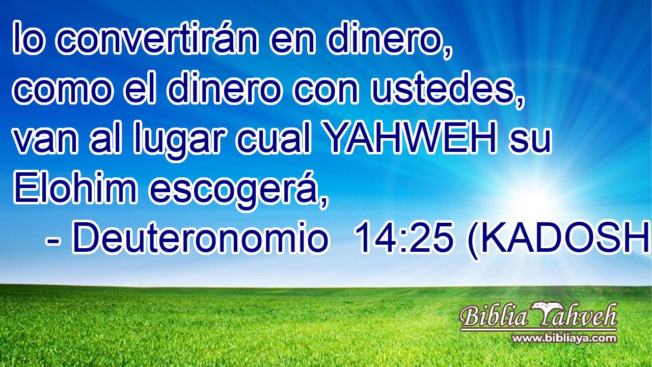  lo convertirán en dinero, como el dinero con ustedes, van al lugar cual YAHWEH su Elohim escogerá, 