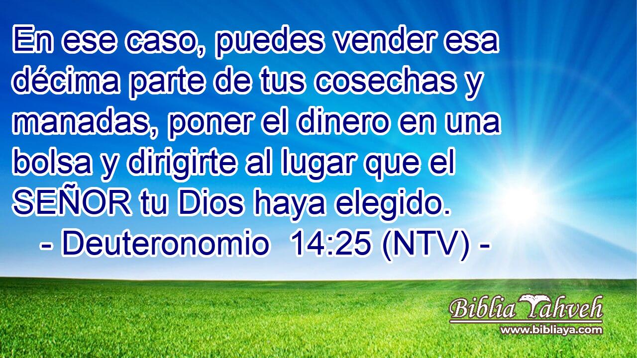 En ese caso, puedes vender esa décima parte de tus cosechas y manadas, poner el dinero en una bolsa y dirigirte al lugar que el SEÑOR tu Dios haya elegido.