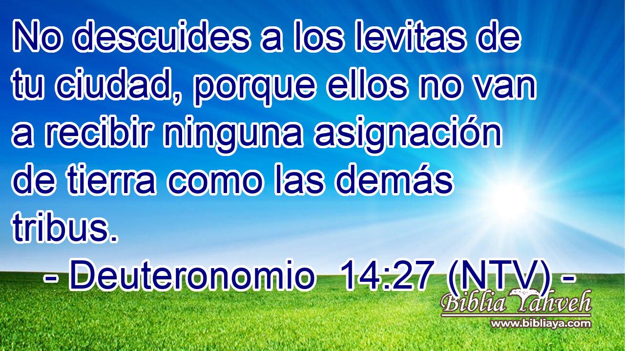 No descuides a los levitas de tu ciudad, porque ellos no van a recibir ninguna asignación de tierra como las demás tribus.
