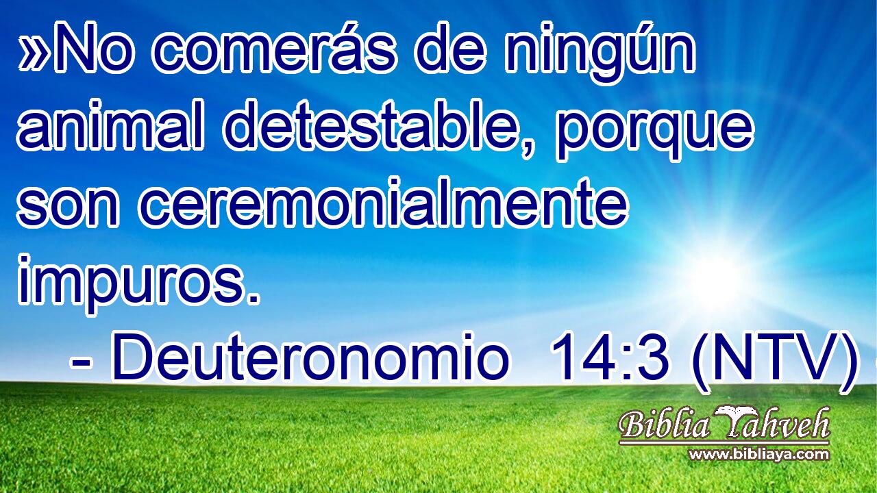 »No comerás de ningún animal detestable, porque son ceremonialmente impuros.