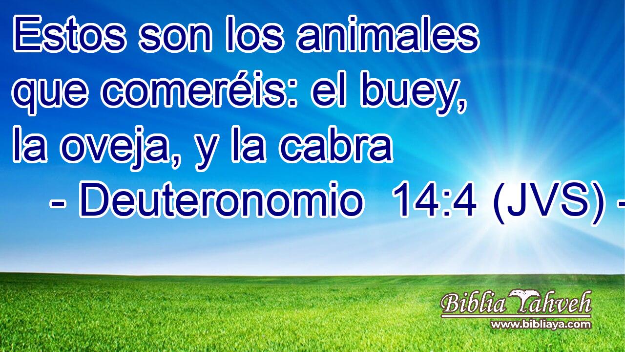 Estos son los animales que comeréis: el buey, la oveja, y la cabra