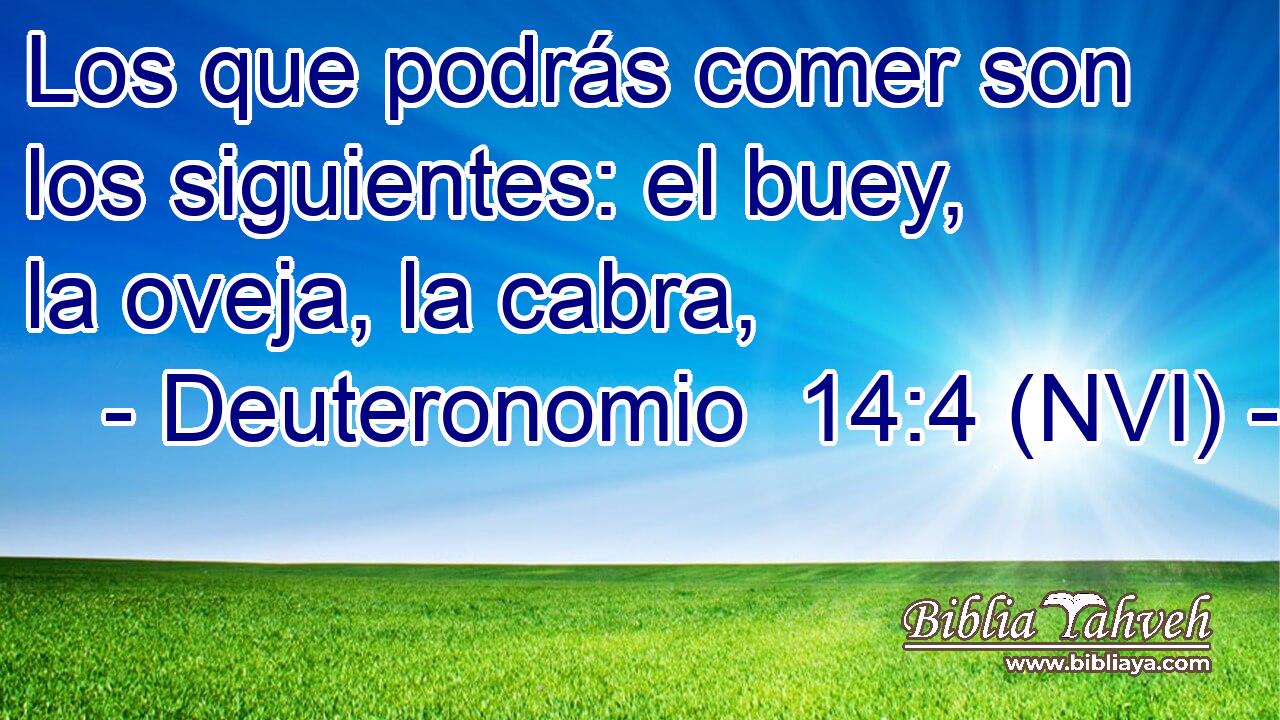  Los que podrás comer son los siguientes: el buey, la oveja, la cabra, 