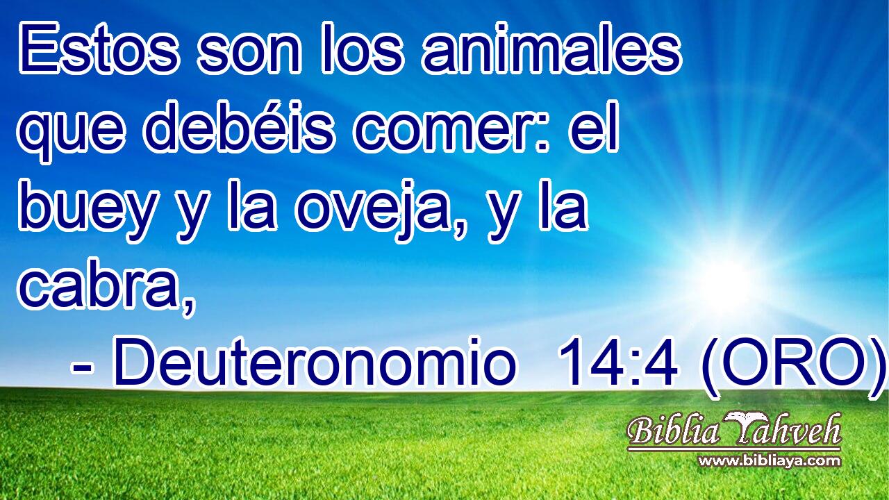  Estos son los animales que debéis comer: el buey y la oveja, y la cabra, 