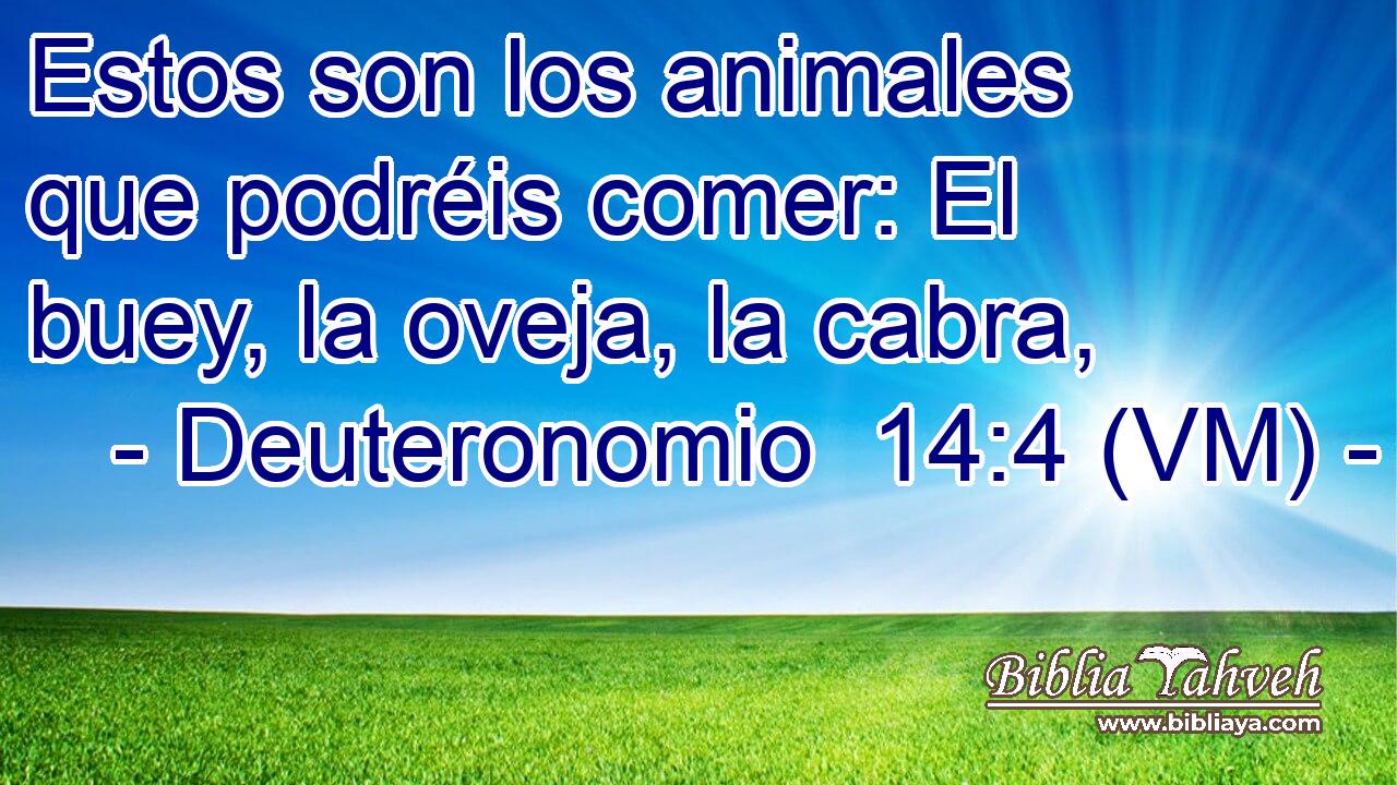  Estos son los animales que podréis comer: El buey, la oveja, la cabra, 