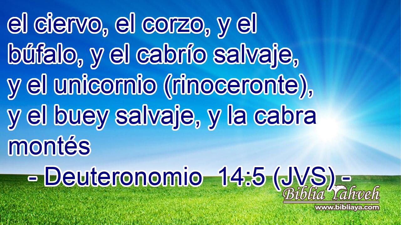 el ciervo, el corzo, y el búfalo, y el cabrío salvaje, y el unicornio (rinoceronte), y el buey salvaje, y la cabra montés