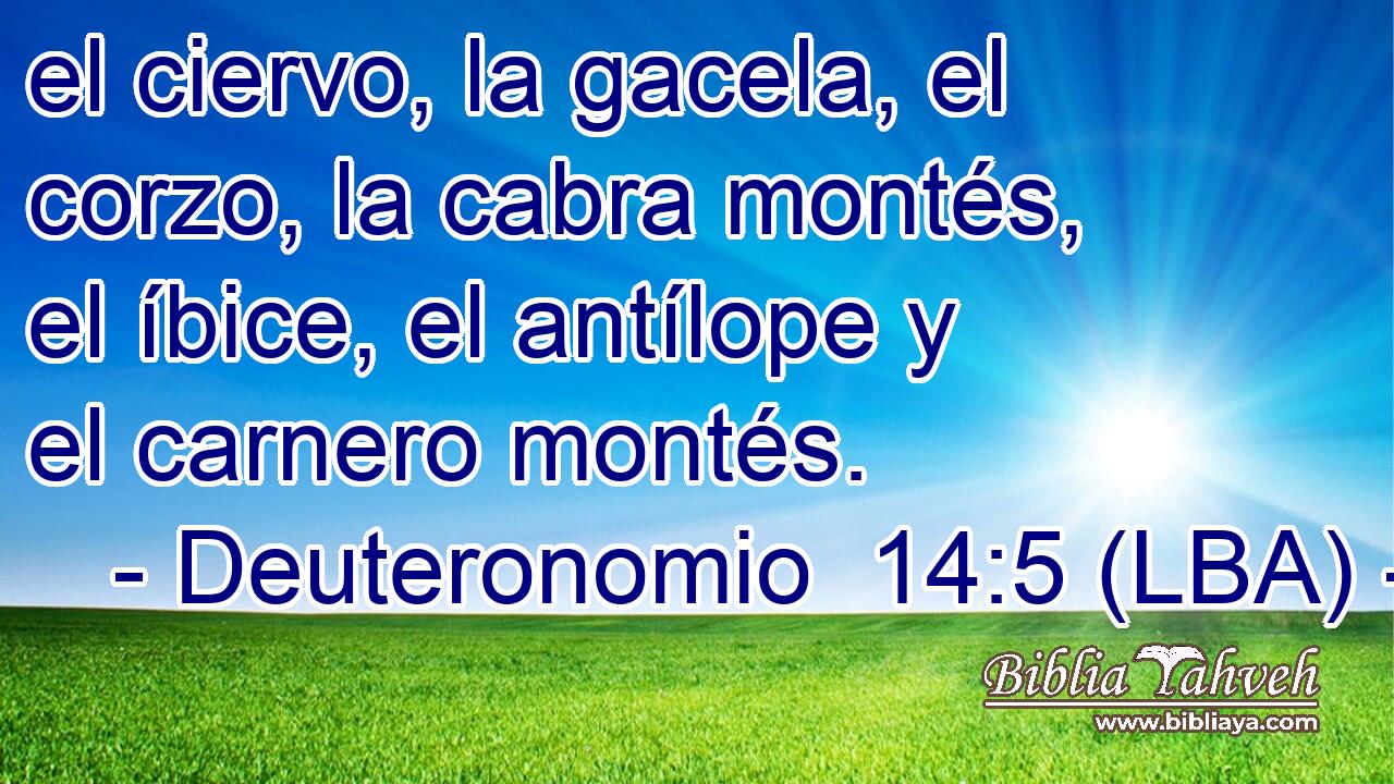 el ciervo, la gacela, el corzo, la cabra montés, el íbice, el antílope y el carnero montés.