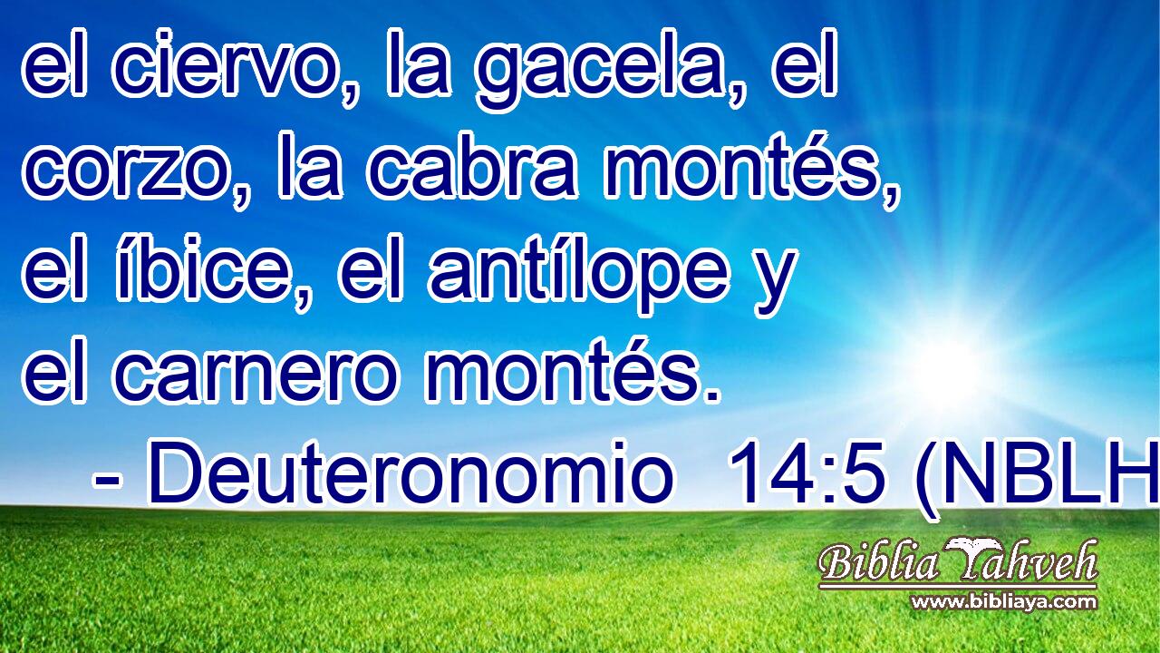  el ciervo, la gacela, el corzo, la cabra montés, el íbice, el antílope y el carnero montés. 
