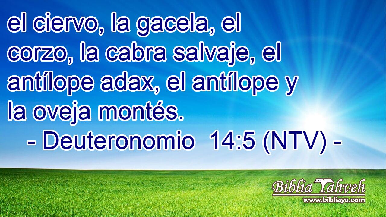 el ciervo, la gacela, el corzo, la cabra salvaje, el antílope adax, el antílope y la oveja montés.