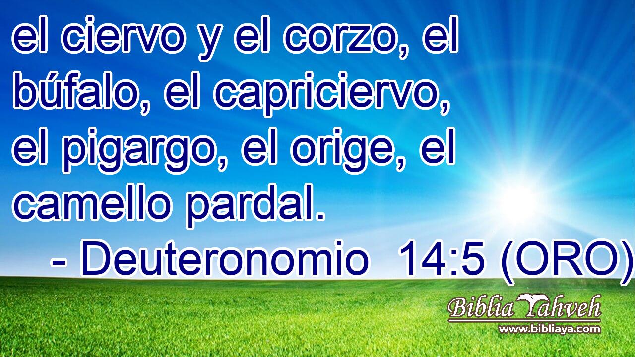  el ciervo y el corzo, el búfalo, el capriciervo, el pigargo, el orige, el camello pardal. 