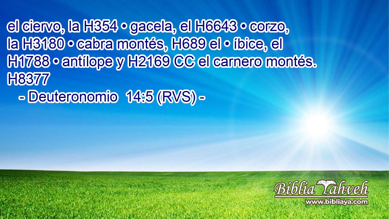el ciervo, la H354 • gacela, el H6643 • corzo, la H3180 • cabra montés, H689 el • íbice, el H1788 • antílope y H2169 CC el carnero montés. H8377 