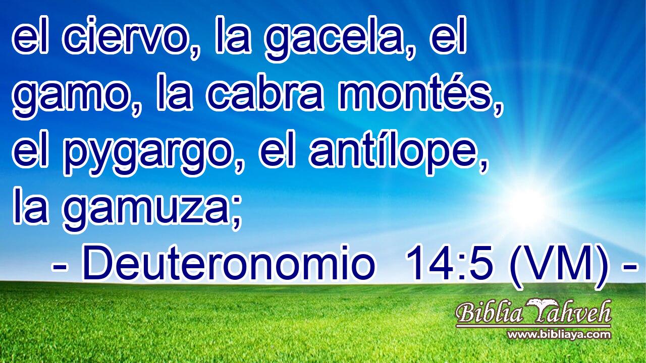  el ciervo, la gacela, el gamo, la cabra montés, el pygargo, el antílope, la gamuza; 