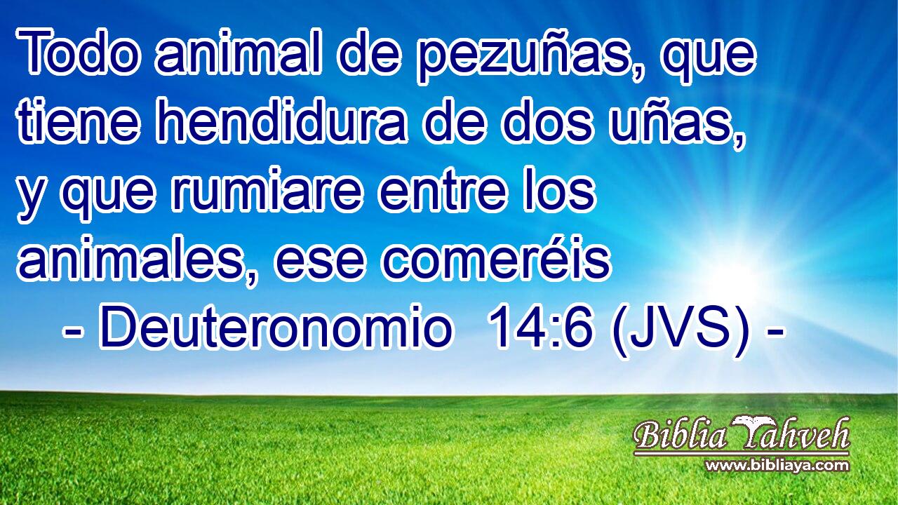 Todo animal de pezuñas, que tiene hendidura de dos uñas, y que rumiare entre los animales, ese comeréis