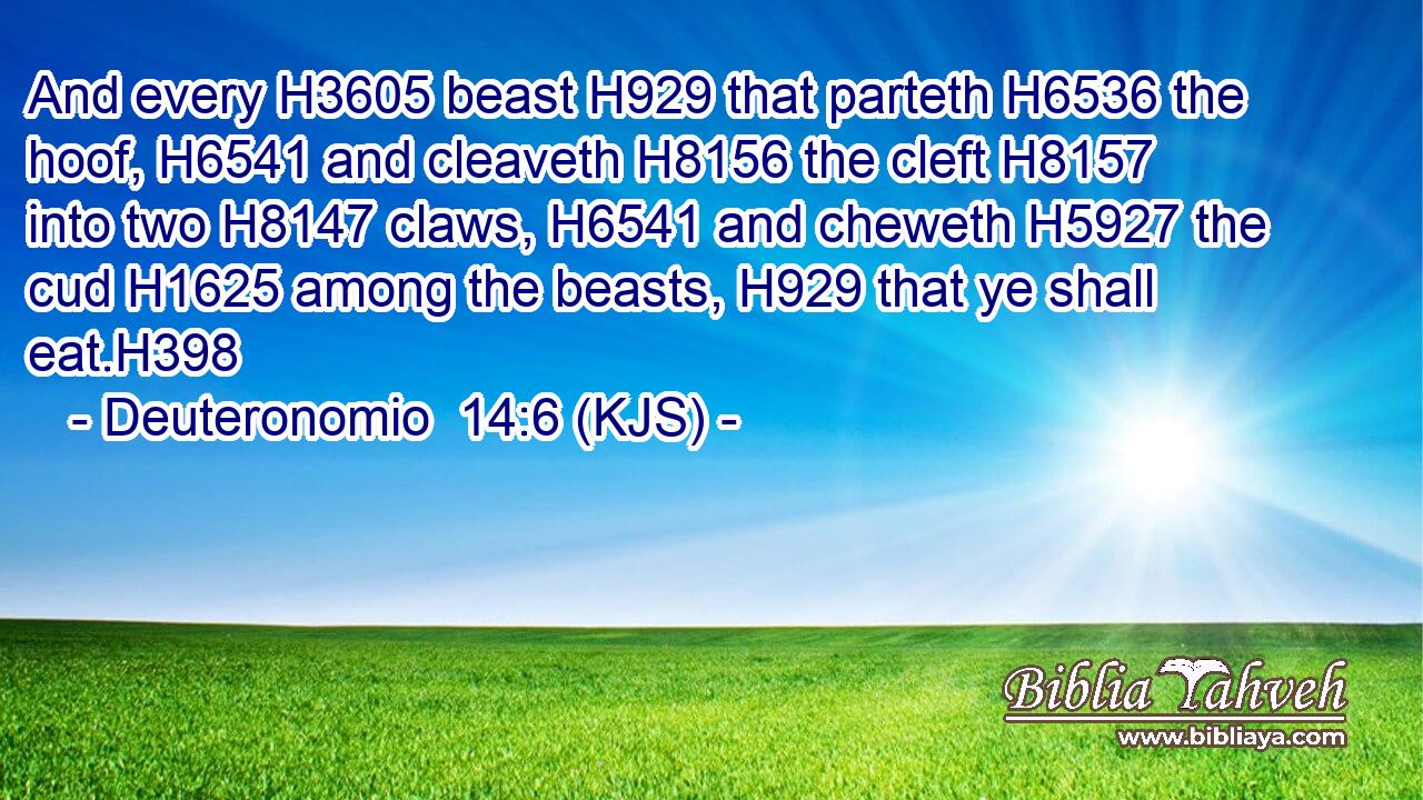And every H3605 beast H929 that parteth H6536 the hoof, H6541 and cleaveth H8156 the cleft H8157 into two H8147 claws, H6541 and cheweth H5927 the cud H1625 among the beasts, H929 that ye shall eat.H398