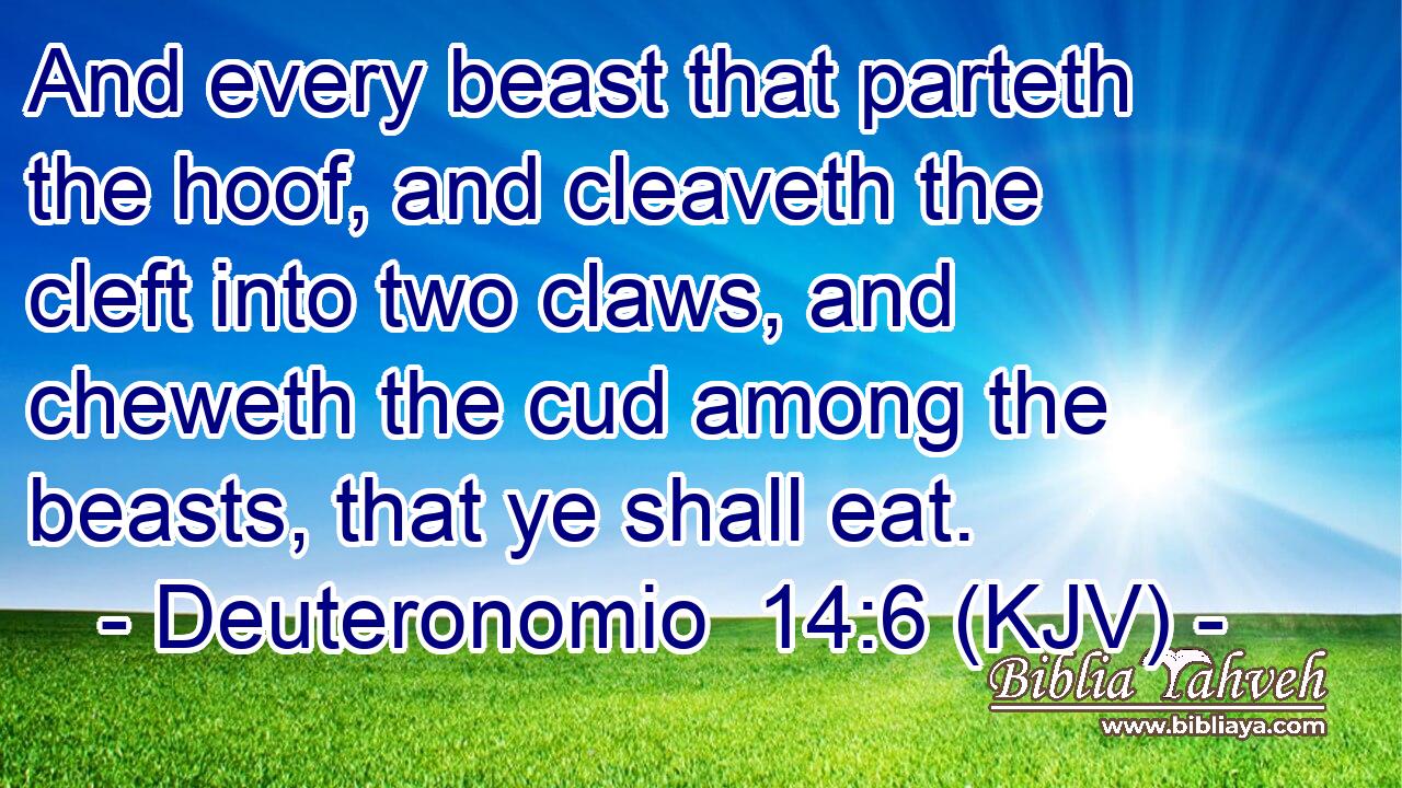 And every beast that parteth the hoof, and cleaveth the cleft into two claws, and cheweth the cud among the beasts, that ye shall eat.