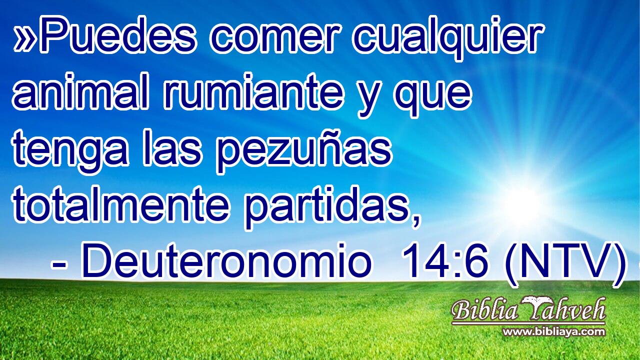 »Puedes comer cualquier animal rumiante y que tenga las pezuñas totalmente partidas,