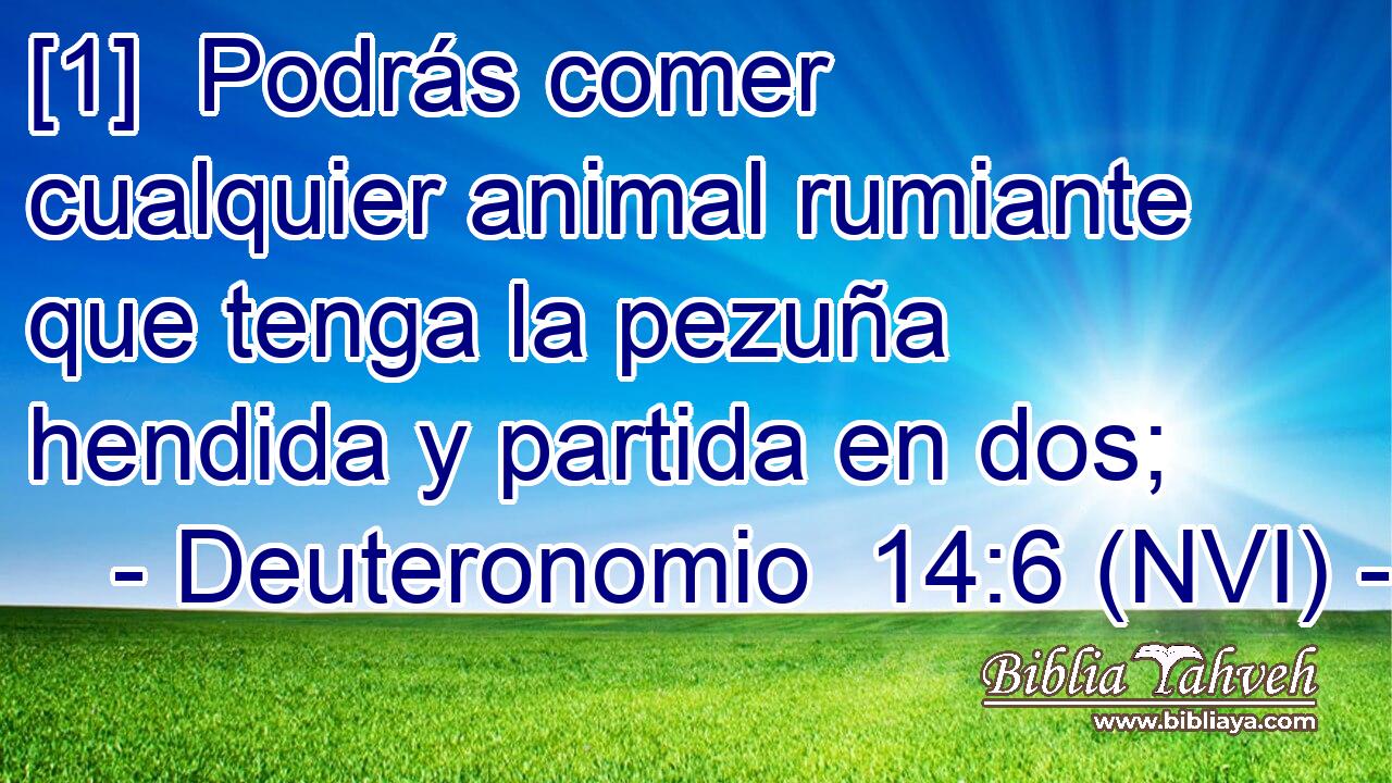  [1]  Podrás comer cualquier animal rumiante que tenga la pezuña hendida y partida en dos; 