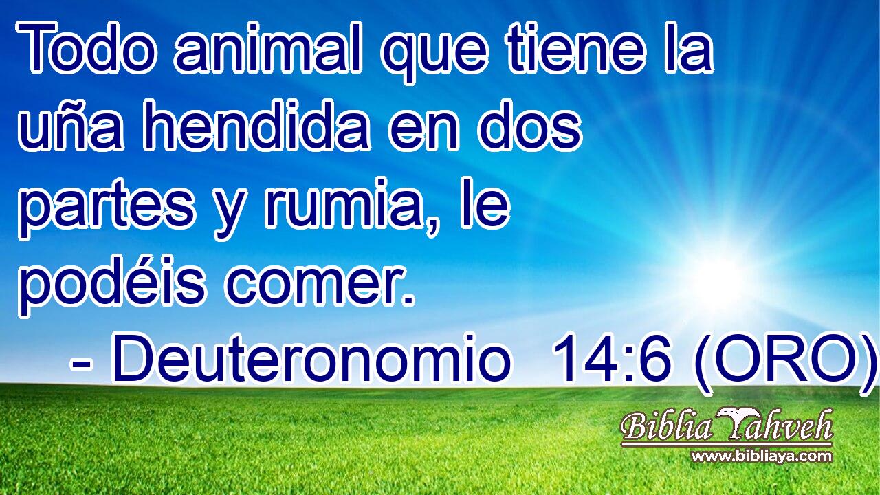  Todo animal que tiene la uña hendida en dos partes y rumia, le podéis comer. 